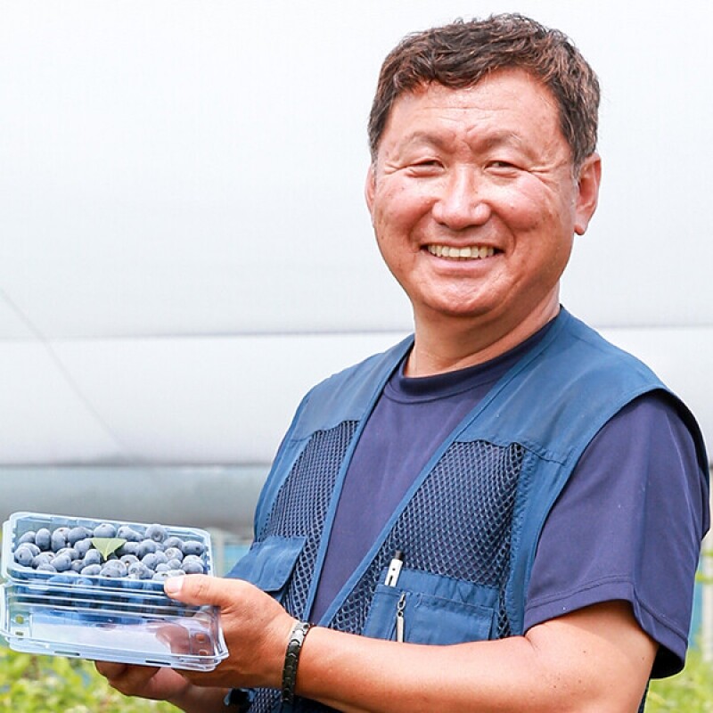 강릉팜,[동해안블루베리]고당도 친환경 무농약 탱글탱글 맛있는 블루베리 2kg