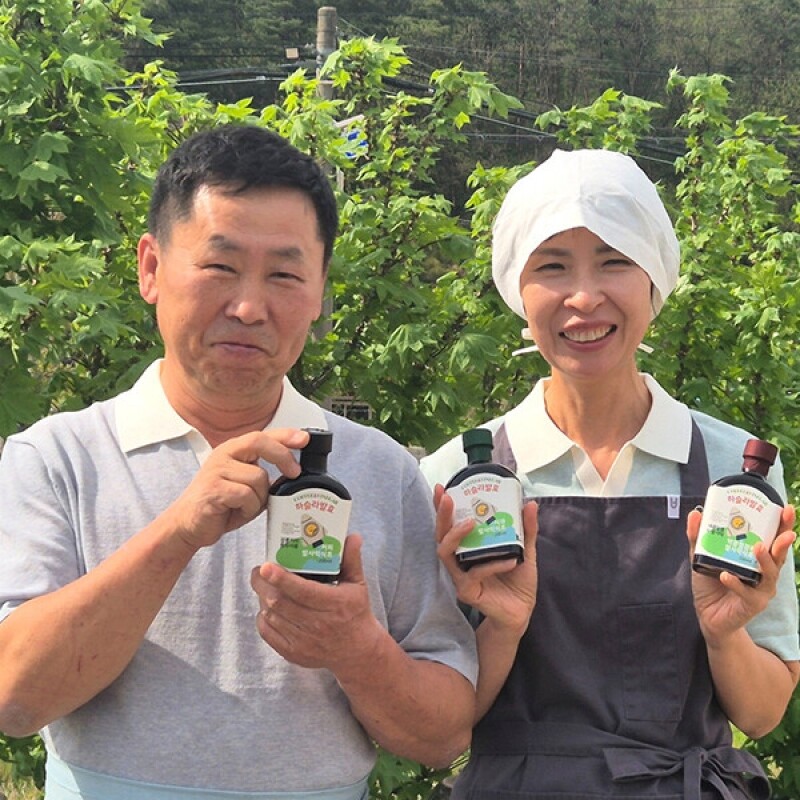 강릉팜,[발효장단]약콩엉겅퀴 발사믹식초 100ml 밀크시슬 전통 자연 발효