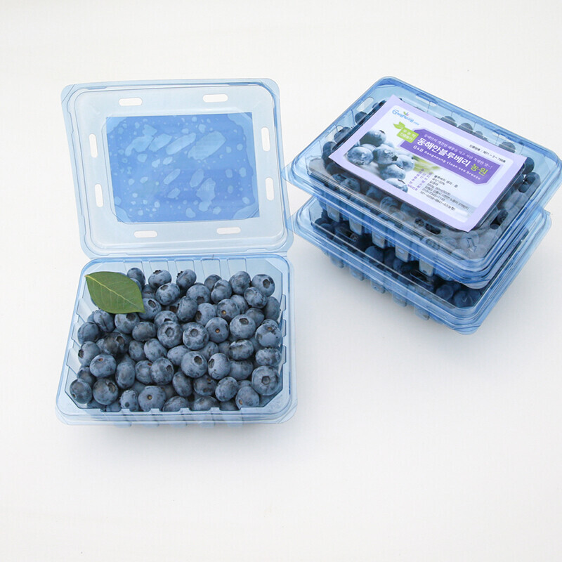 강릉팜,동해안블루베리 고당도 친환경 무농약 탱글탱글 블루베리 생과 2kg ( 500g 4pack)