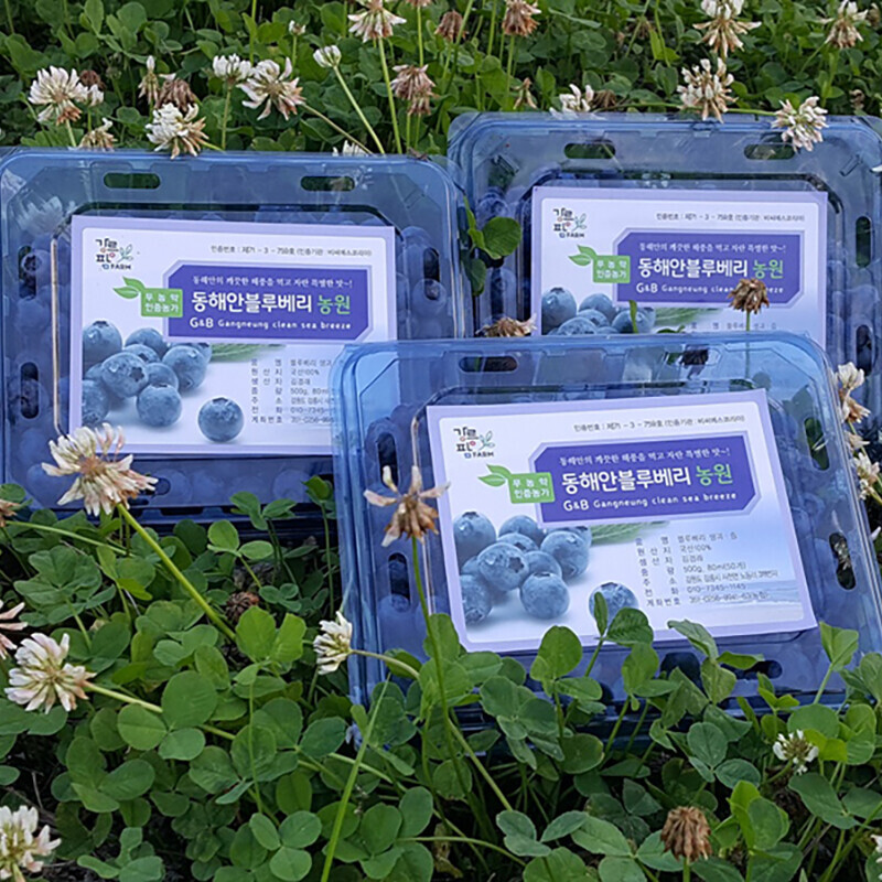 강릉팜,동해안블루베리 고당도 친환경 무농약 탱글탱글 블루베리 생과 2kg ( 500g 4pack)