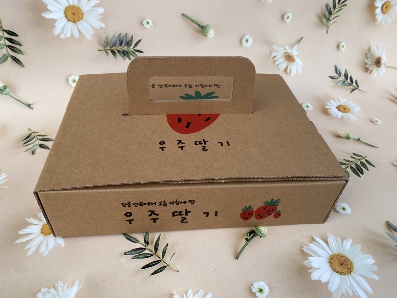 강릉팜,우주[예약판매/12월15일부터 순차배송]농장 직배송 강릉 우주딸기농장 고당도 설향딸기 700g 이상 GAP 인증 당일수확 딸기선물세트