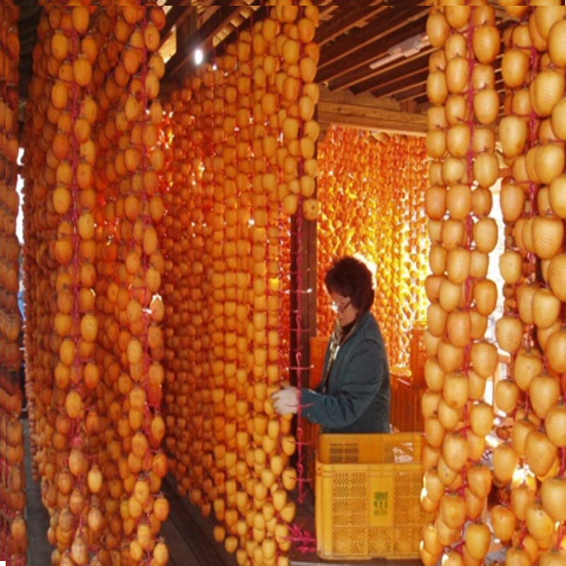 강릉팜,[강릉곶감 우리들농원] 신사임당1호-낱개포장세트