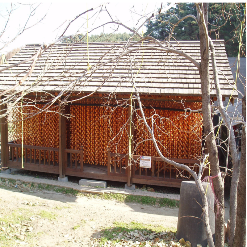 강릉팜,[강릉곶감우리들농원]건시 실속형1호(1.8/36~42개)