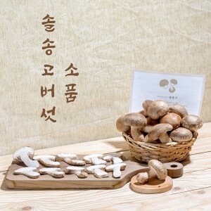 [강릉표고버섯농장]솔송고 무농약 쫄깃한 송이향 표고버섯 친환경 2Kg 소품